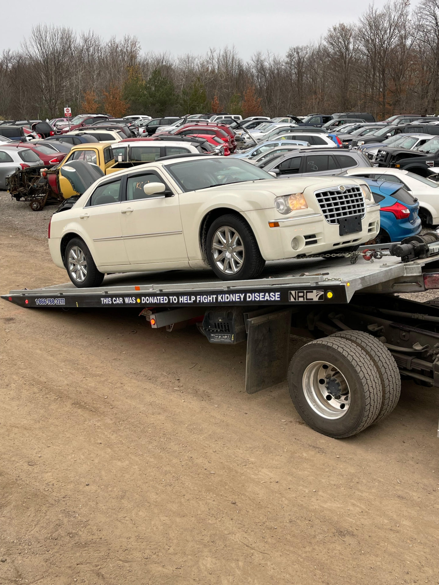 About Us Nicklin Auto Parts & Recycling